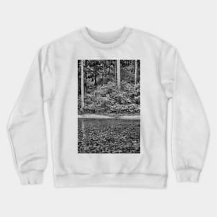 Big Thompson Canyon in Summer Crewneck Sweatshirt